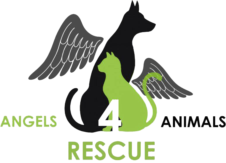 Angels 4 Animals Rescue Shelter